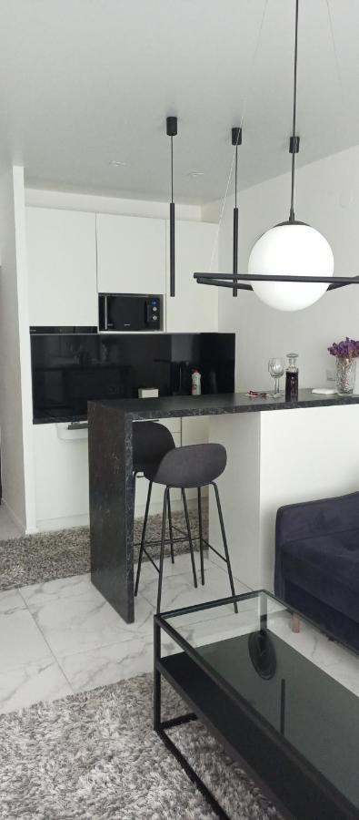 New Modern Apartment Uzhhorod Ngoại thất bức ảnh
