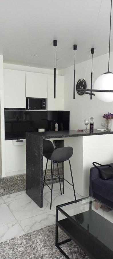 New Modern Apartment Uzhhorod Ngoại thất bức ảnh